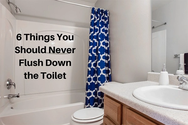 things you should never flush down toilet by trinity plumbing